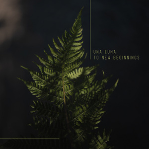 东北少妇水多淫荡性交
